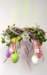 photo100_small.jpg