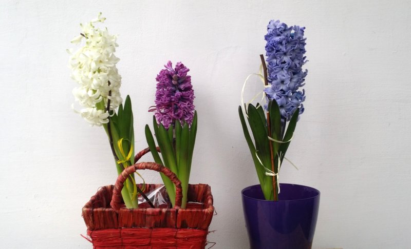 photo102.jpg