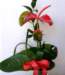 photo108_small.jpg
