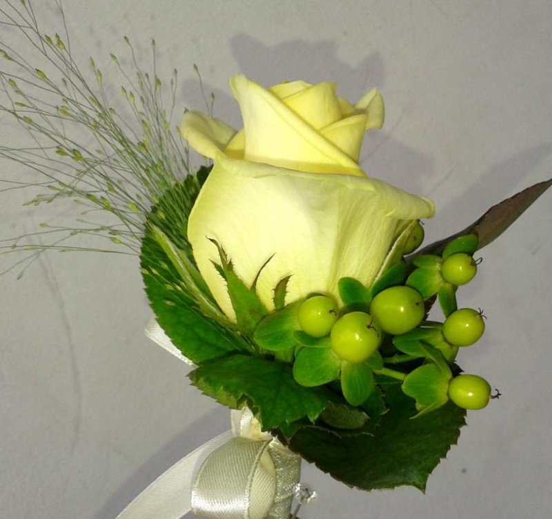 photo16.jpg