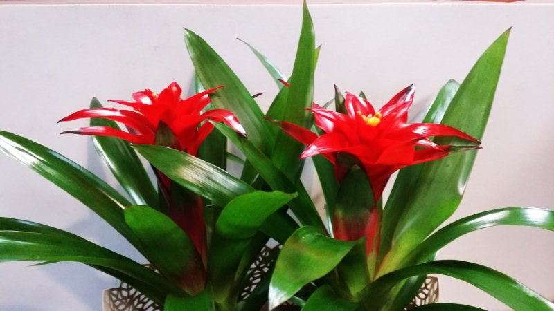 photo30.jpg
