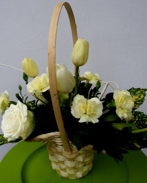 photo34.jpg