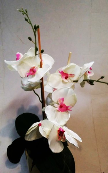 photo35.jpg