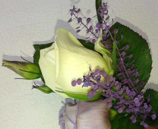 photo50.jpg
