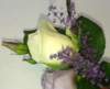 photo50_small.jpg