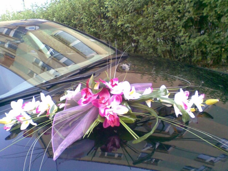 photo56.jpg
