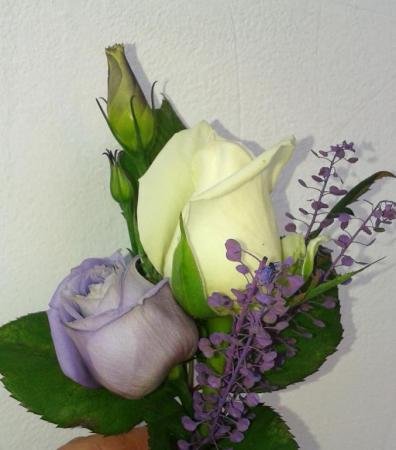 photo59.jpg