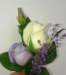 photo59_small.jpg