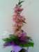 photo71_small.jpg