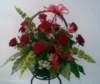 photo75_small.jpg