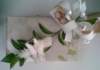 photo78_small.jpg