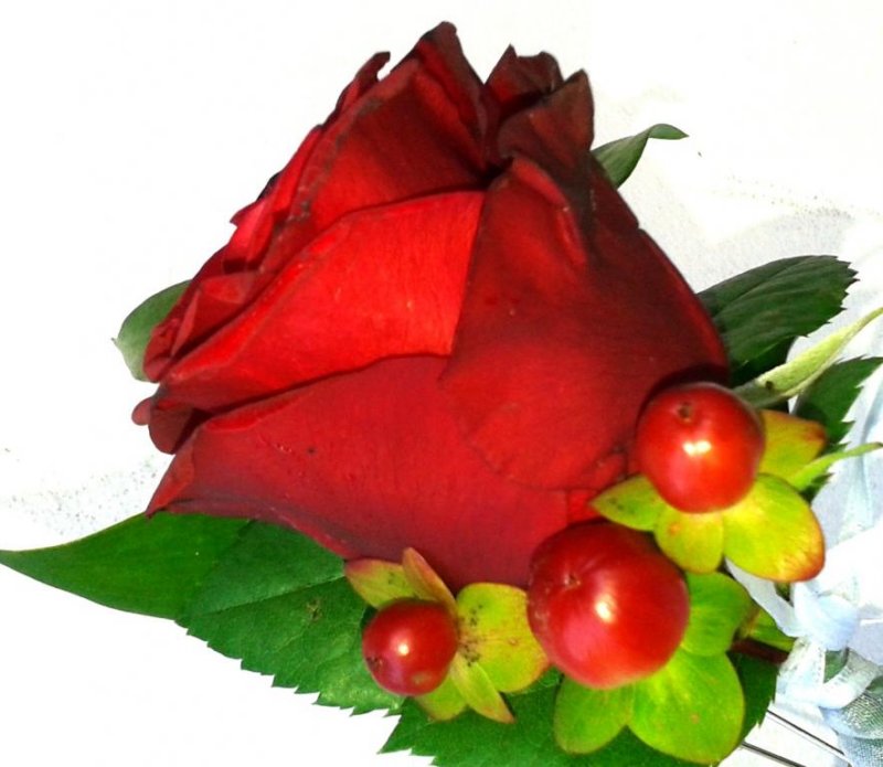 photo9.jpg